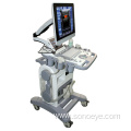 Color doppler Trolly Ultrasound machine